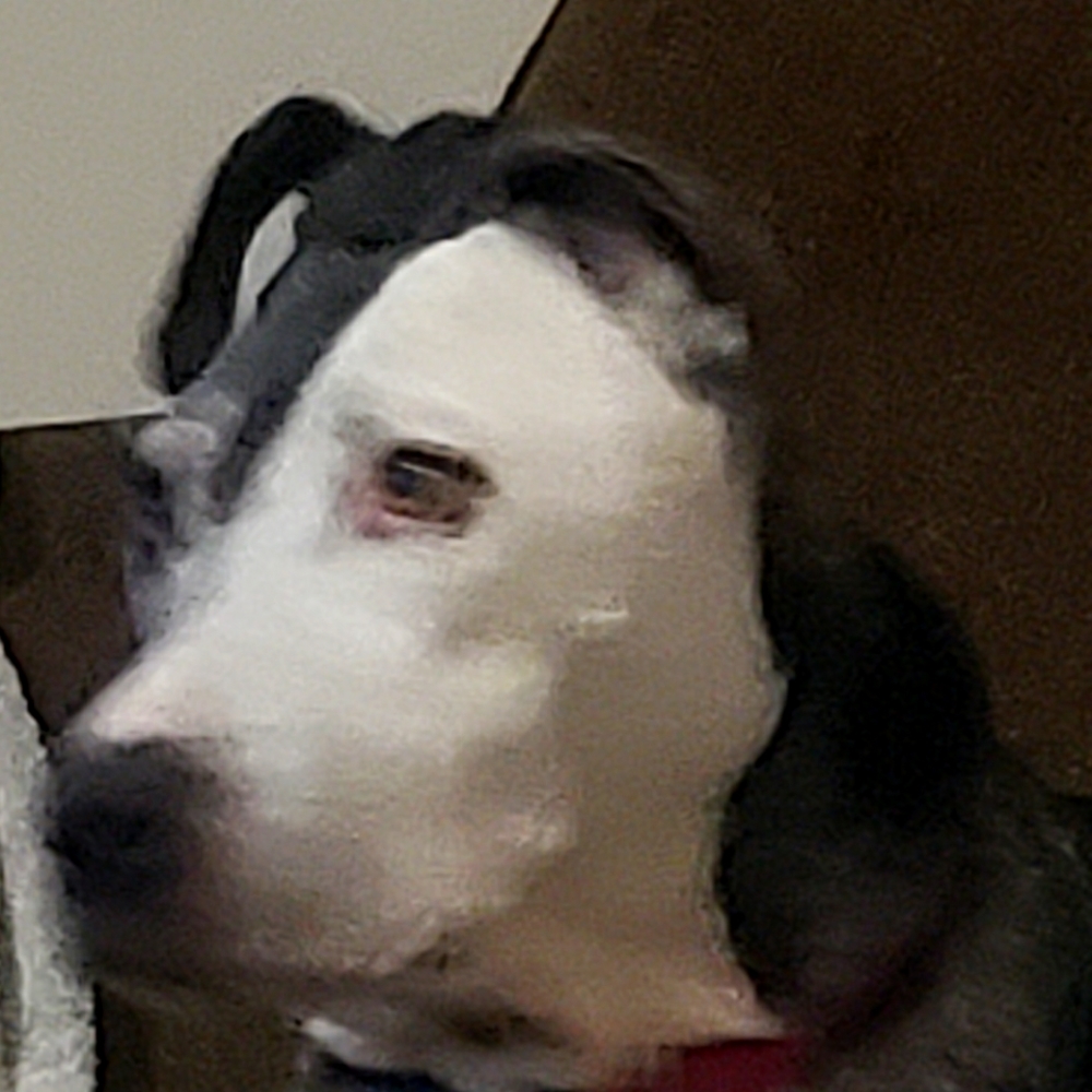 Meet your Posher, Larissa